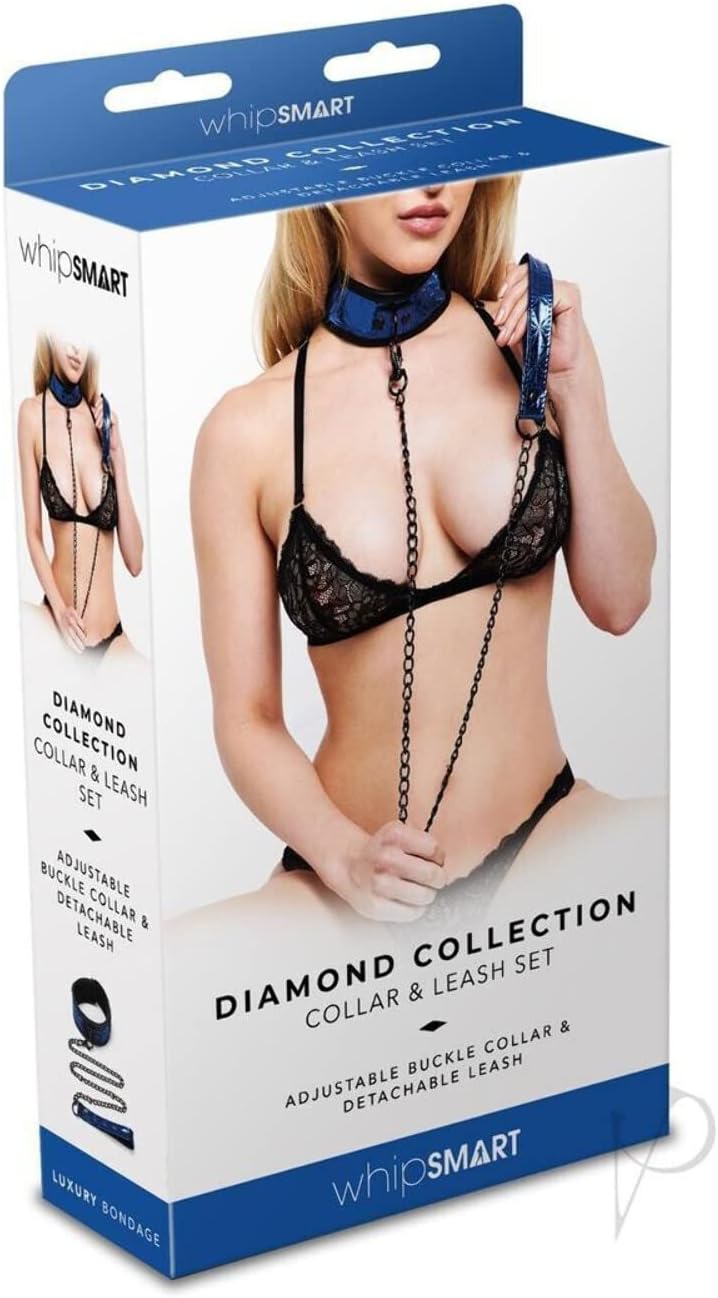Whip Smart Collar and Leash